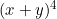 (x+y)^4